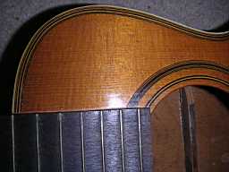 Lyon-Healey 1_2-sized Parlor PICT1414.jpg